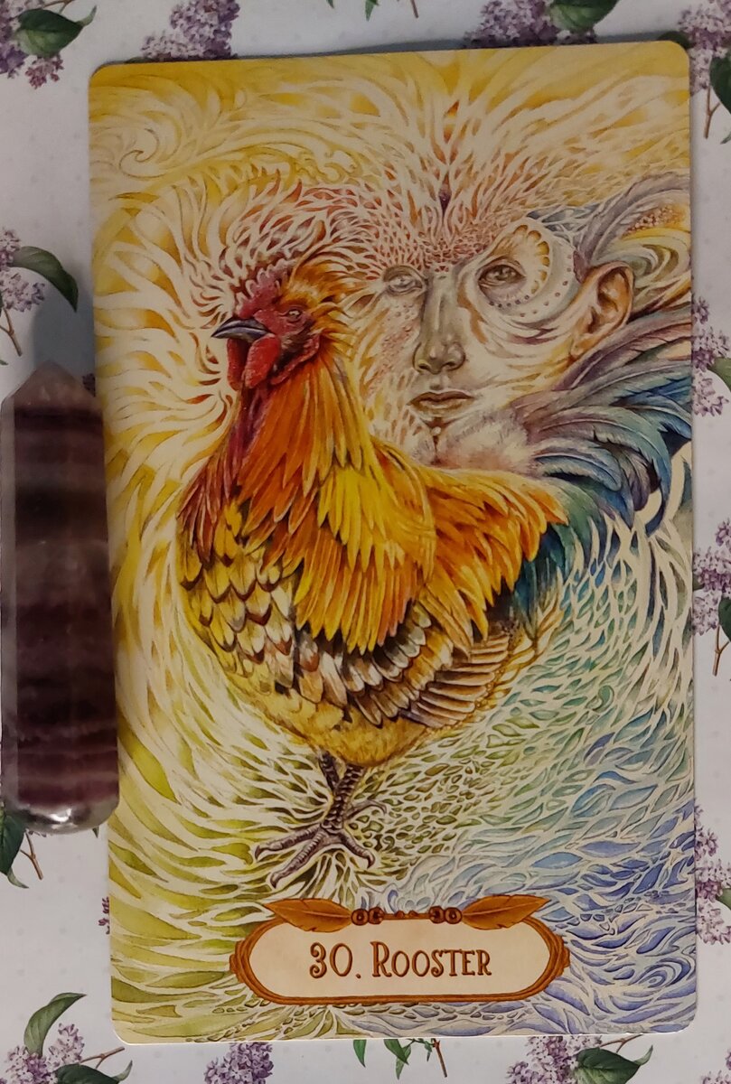 Колода: "The Winged Enchantment Oracle deck" by Lesley Morrison