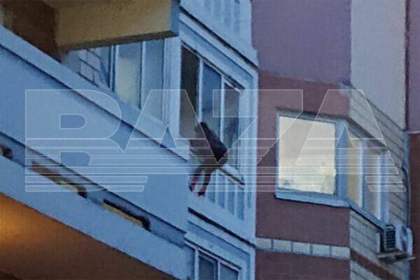    Фото: Telegram-канал «Baza»