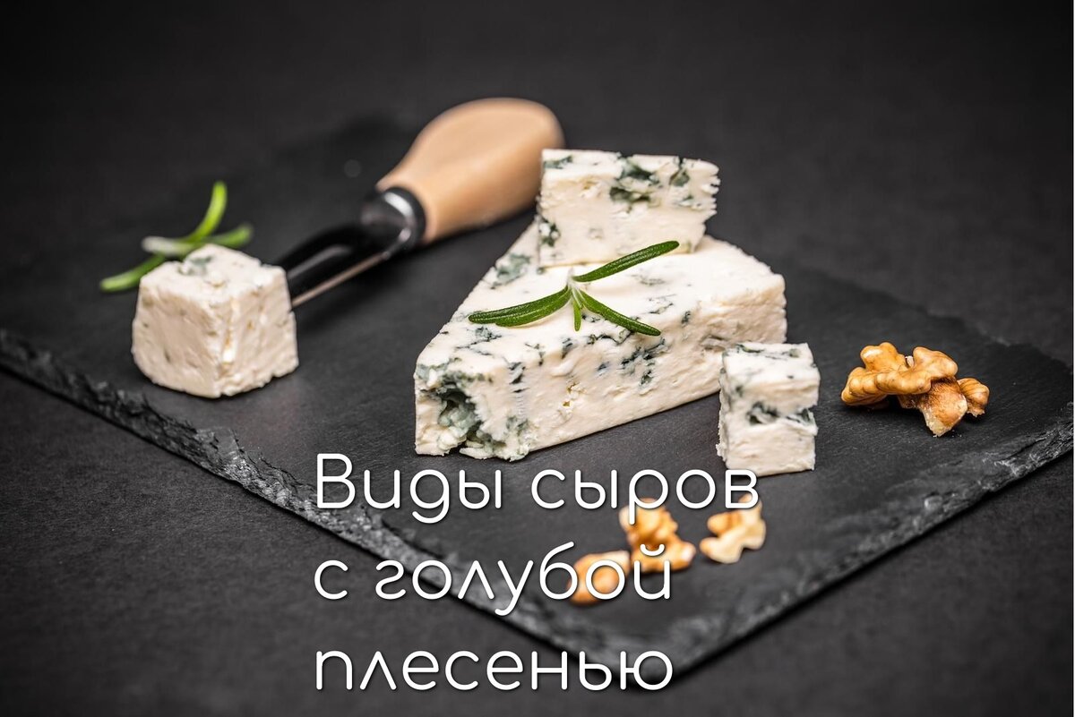 Виды сыров с голубой плесенью | 🧀 Ольга Лазарева - все о сыроделии 🧀 |  Дзен