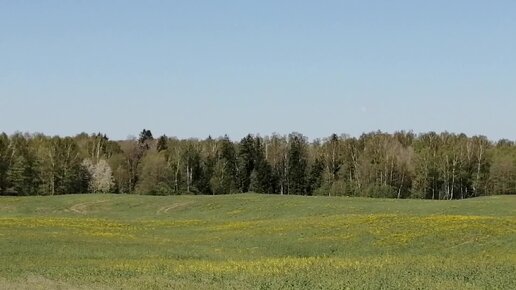 Весна за городом