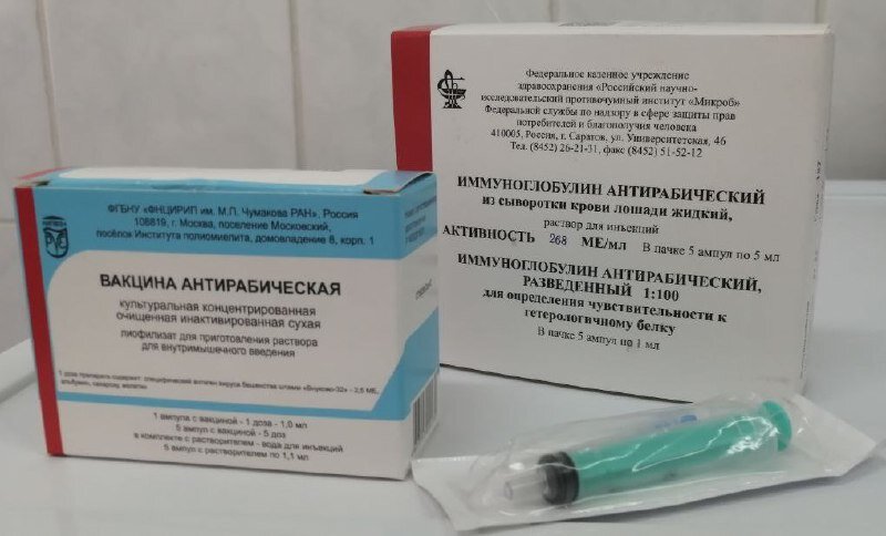    С начала года в травматологию Сургута с укусами животных попал 261 человек