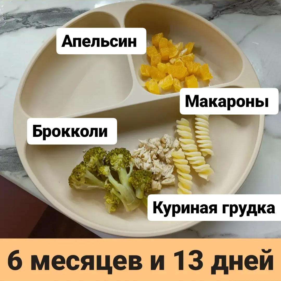 Пример тарелки для малыша 6 месяцев