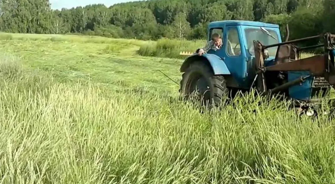 Яндекс картинки