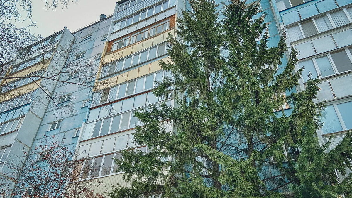     В Ставропольском крае суд постановил забрать квартиру у заместителя главы администрации Ипатовского городского округа, сообщили в региональной прокуратуре.