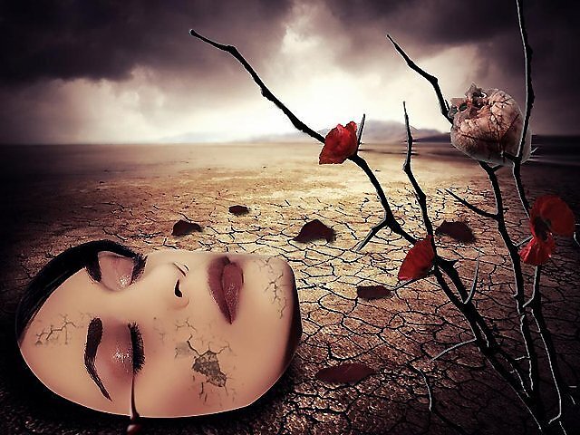 Картинка из свободных источников интернет