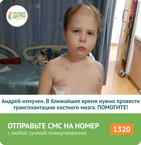Андрей в ремиссии, срочно нужна пересадка костного мозга ...