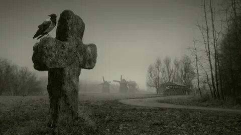 Из открытых источников.