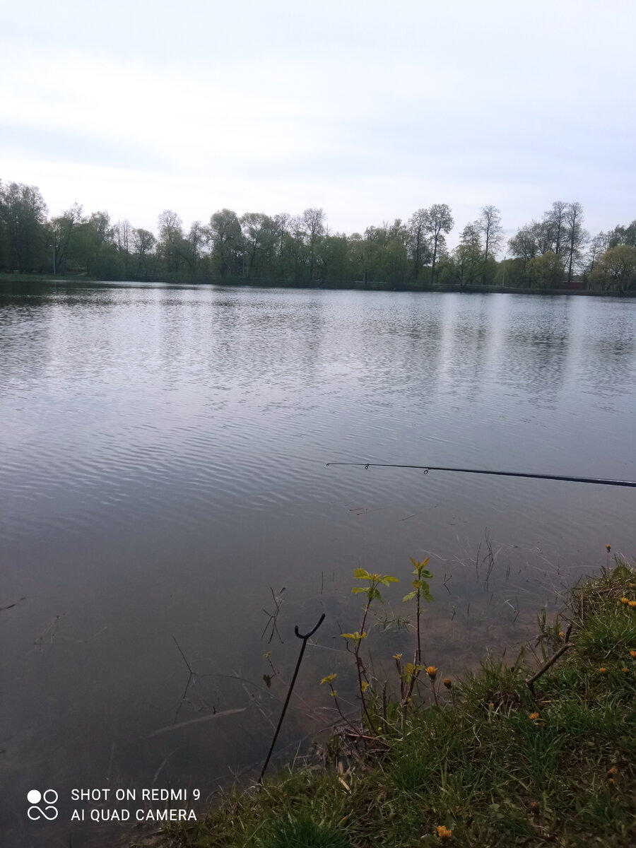 Карась 12.05.23 Лаговский пруд