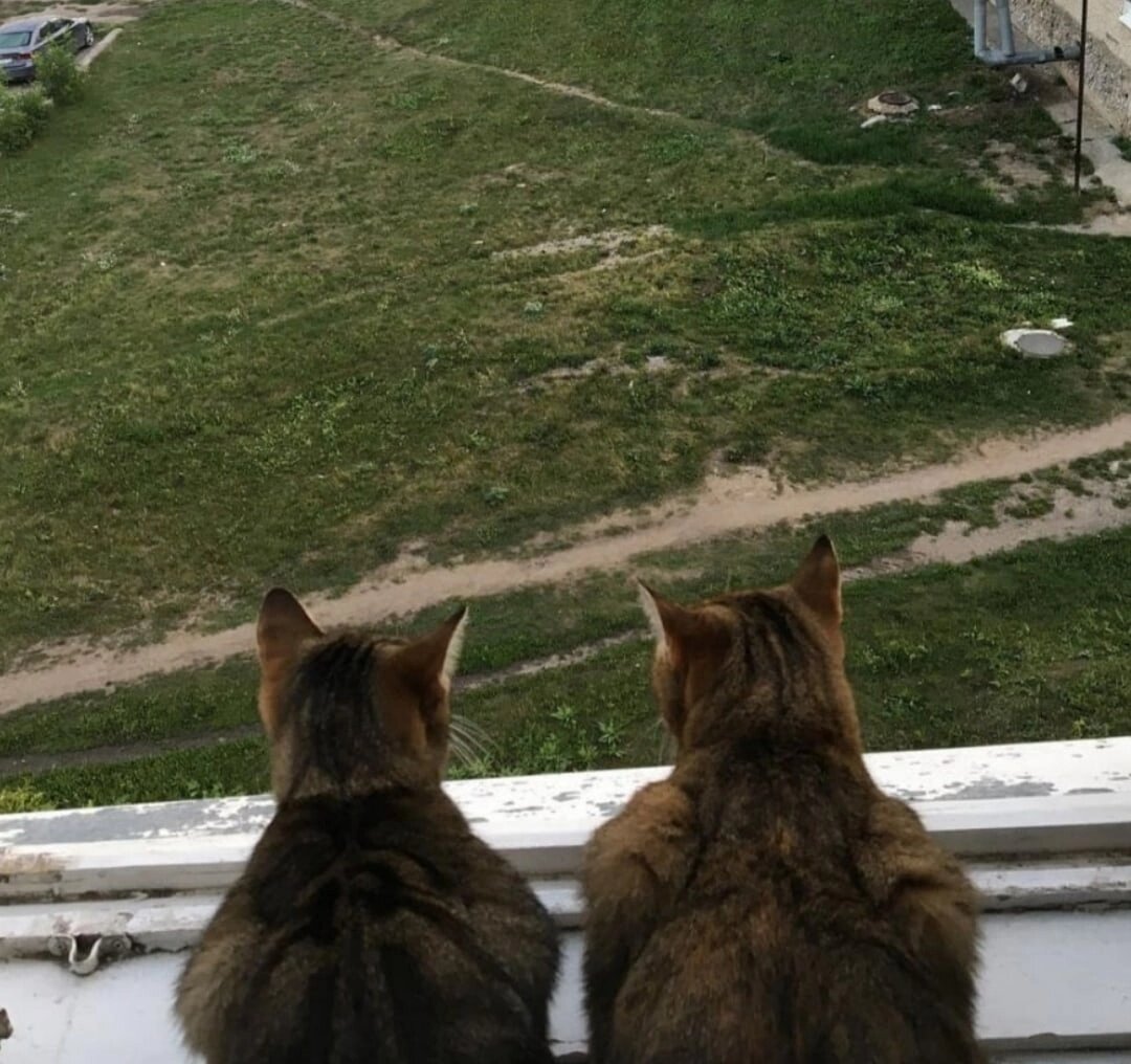 Фото Марины Сычевой