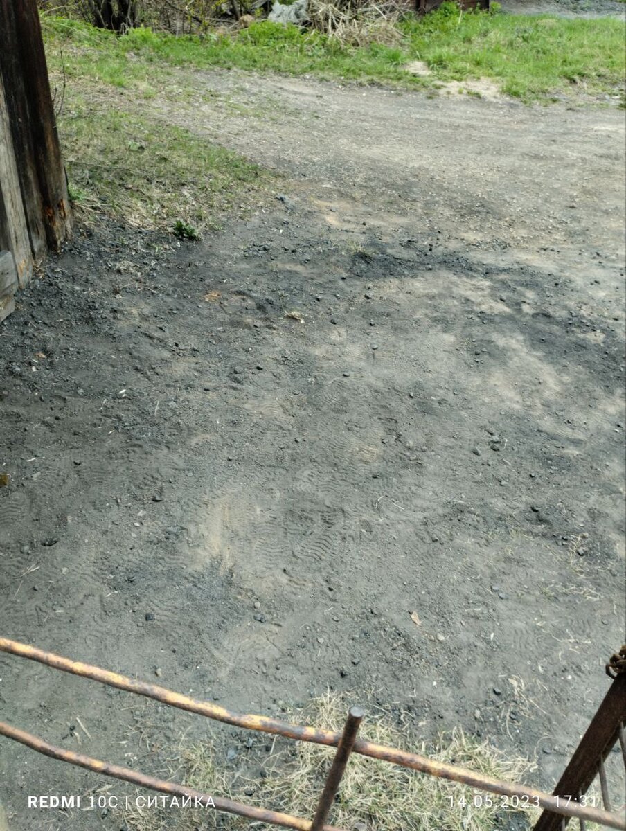 Фото из личного архива 