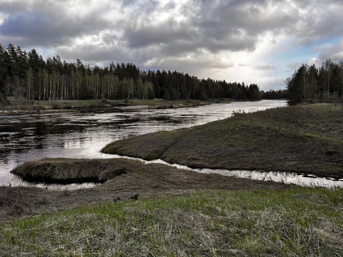 Молога. 5 мая 18:58. Листайте галерею