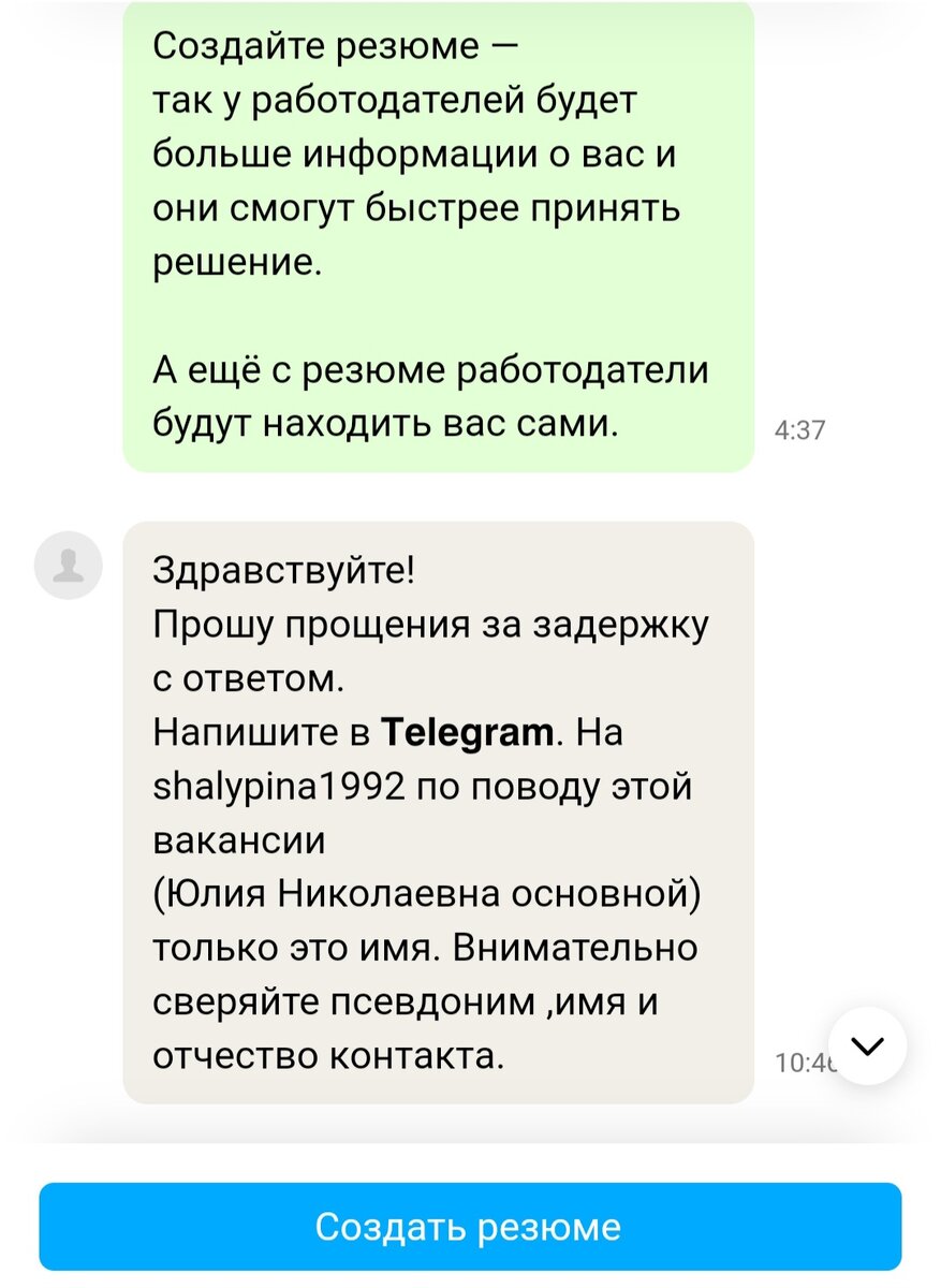 Скриншот моей переписки на авито