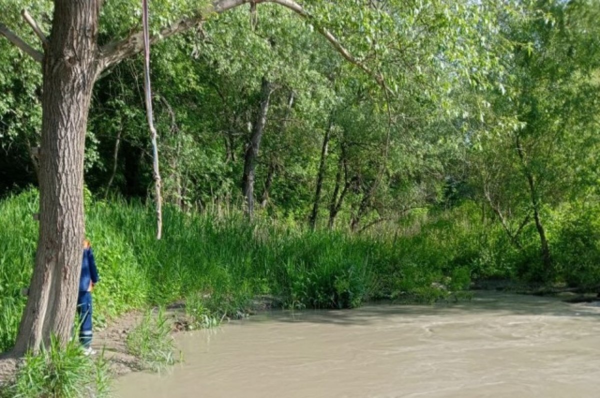 Пьяный мужчина утонул в речке на Ставрополье, прыгнув в воду с «тарзанки» |  АиФ – Северный Кавказ | Дзен