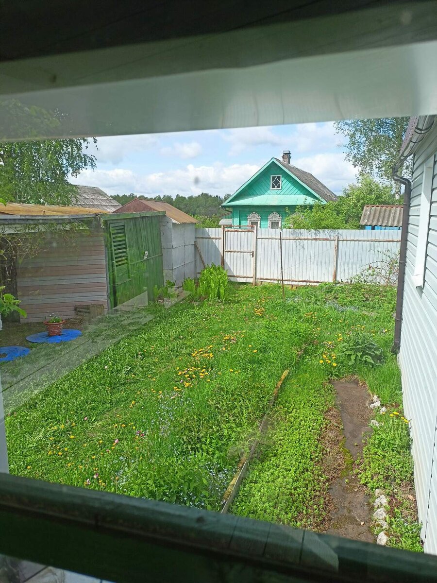 Вид с крыльца через стекло на калитку