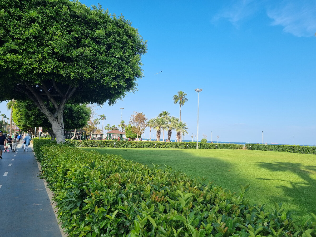 В такой красоте гуляем, даже фильтры не нужны. Мерсин. Фото автора канала "Активный человек".
