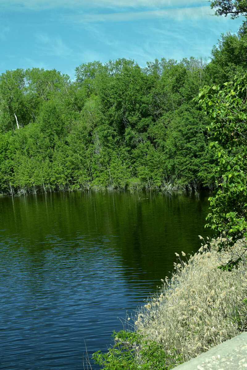 Река Терсянка в разлив.
