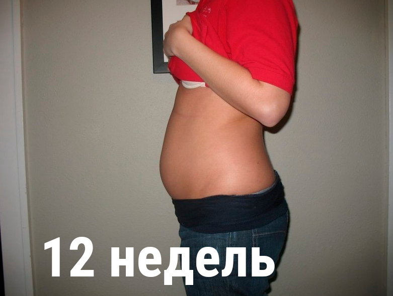 24 недели, двойня, ФОТОПУЗ!