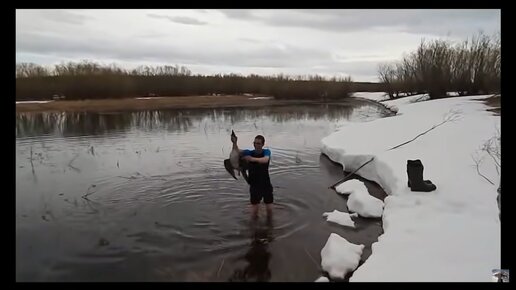 Классная рыбалка на сети и первый гусь Лёхи.