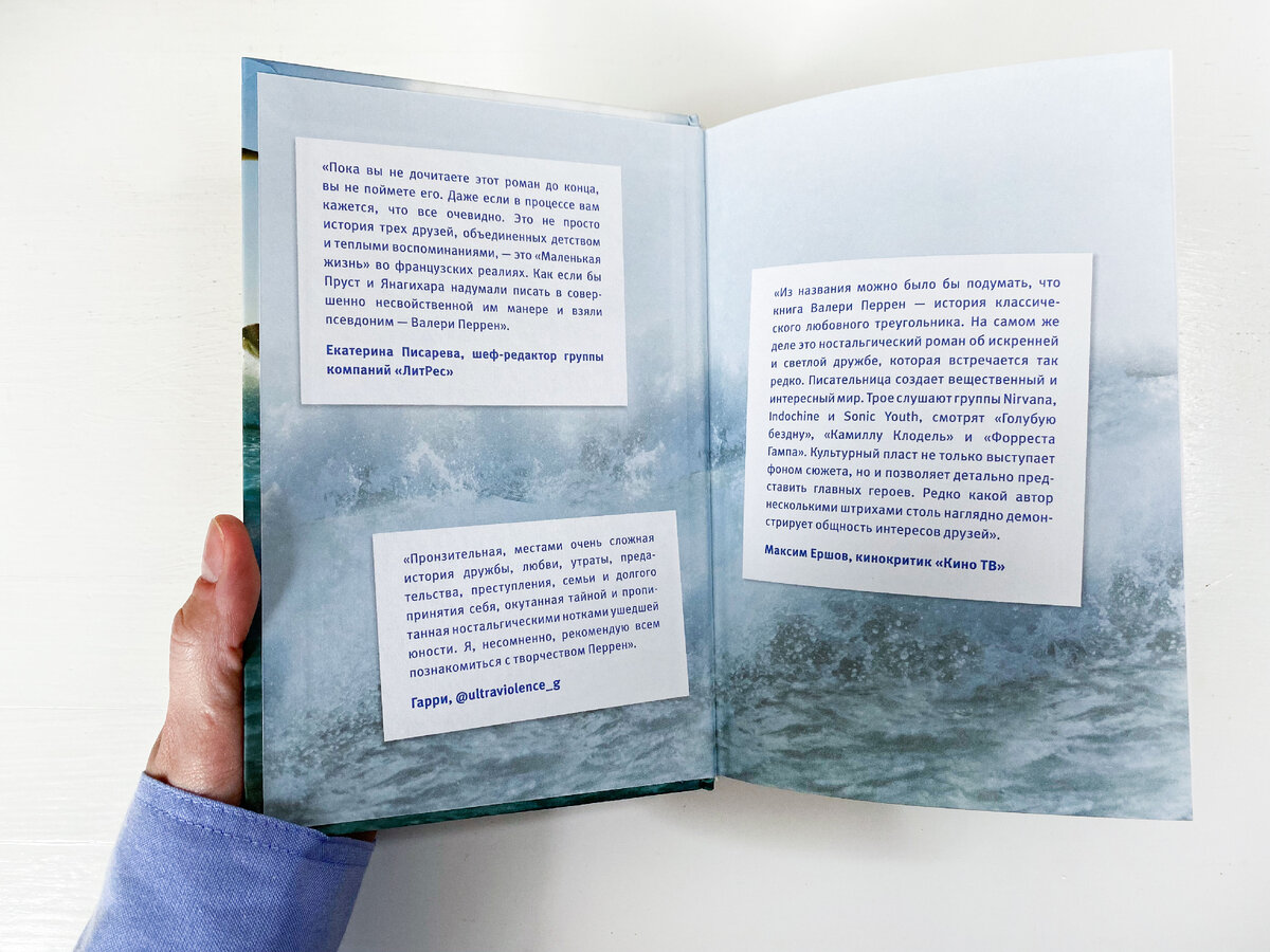 Читать книгу идеальный мир