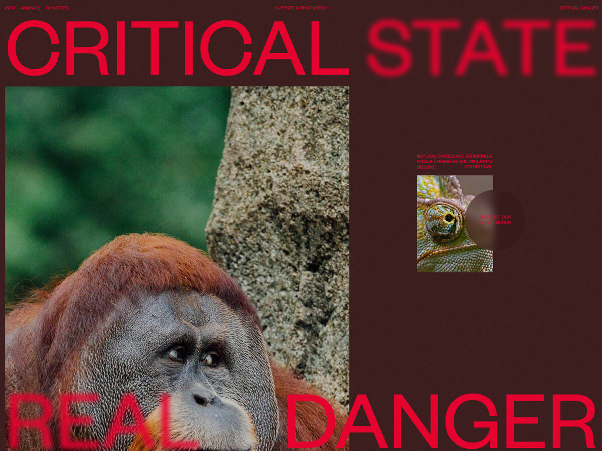https://www.criticaldanger.com/