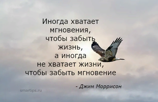 Фраза остановись мгновение. Иногда не хватает жизни чтобы забыть мгновение. Афоризмы про мгновение. Иногда хватает мгновения чтобы. Цитаты про мгновения жизни.