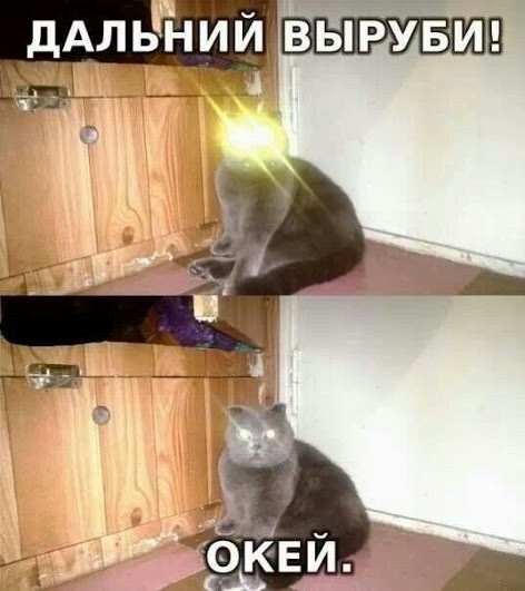 Минутка бородатых мемов. 