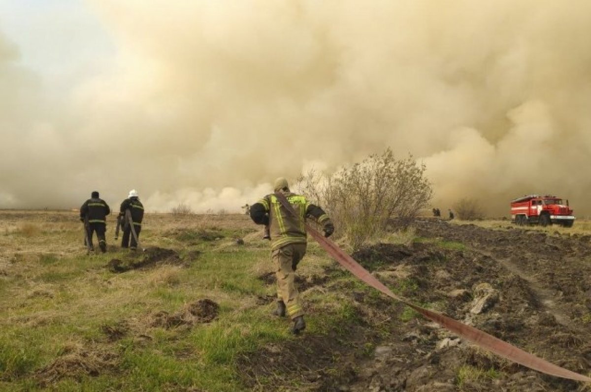    Второй день в Башкирии тушат лесной пожар