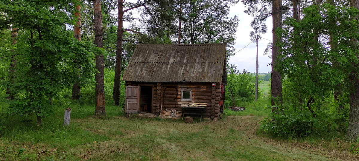 Банька на берегу. Фото автора