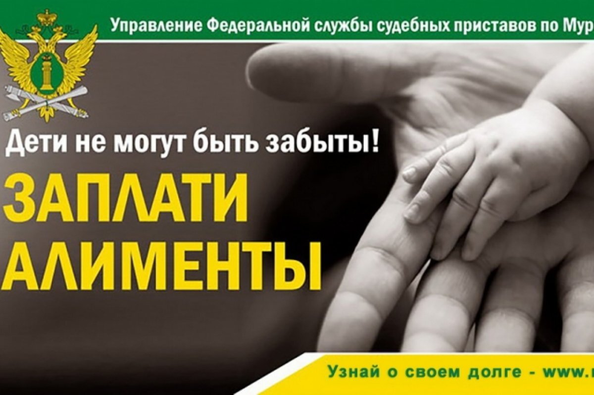    В Мурманской области самой молодой должнице по алиментам 17 лет