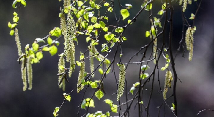 ФОТО: SERGEY BULKIN/GLOBALLOOKPRESS