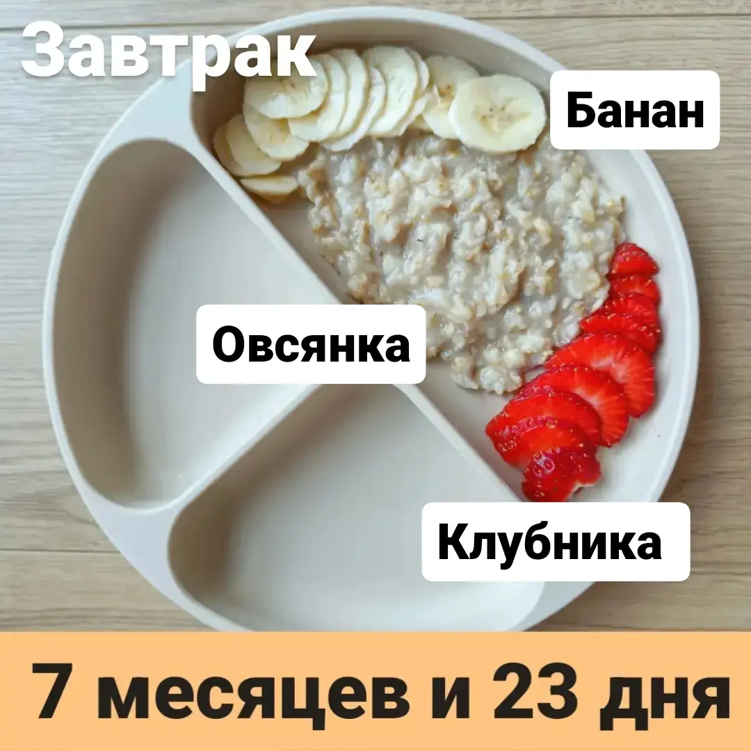 Пример тарелки в 7 месяцев 