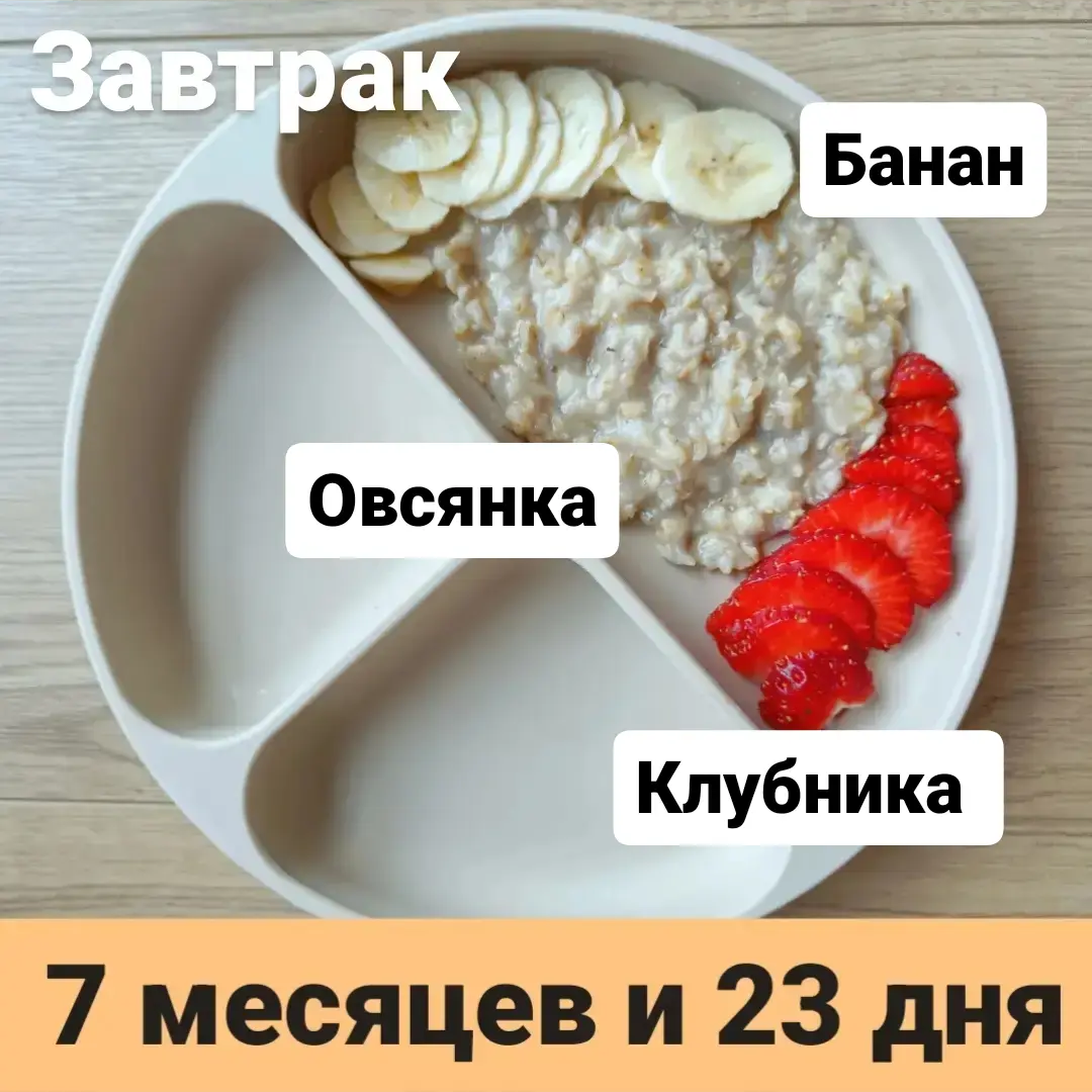 Прикорм. Тарелка 7 месяцев и 23 дня. Завтрак. | В поисках дома ❤️ Вьетнам  🇻🇳 Нячанг | Дзен