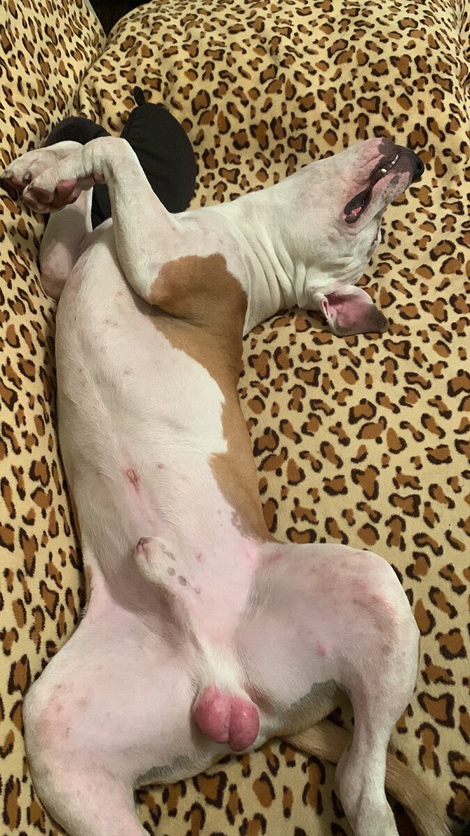 А нас и дома неплохо кормят