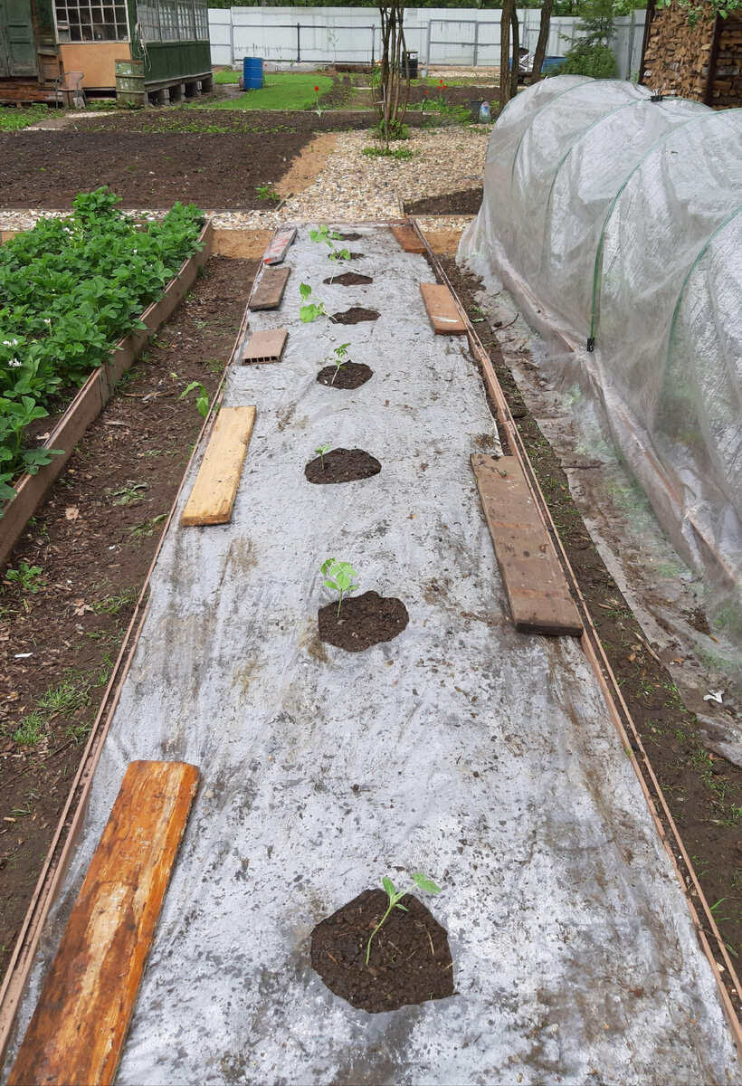 Фото автора.