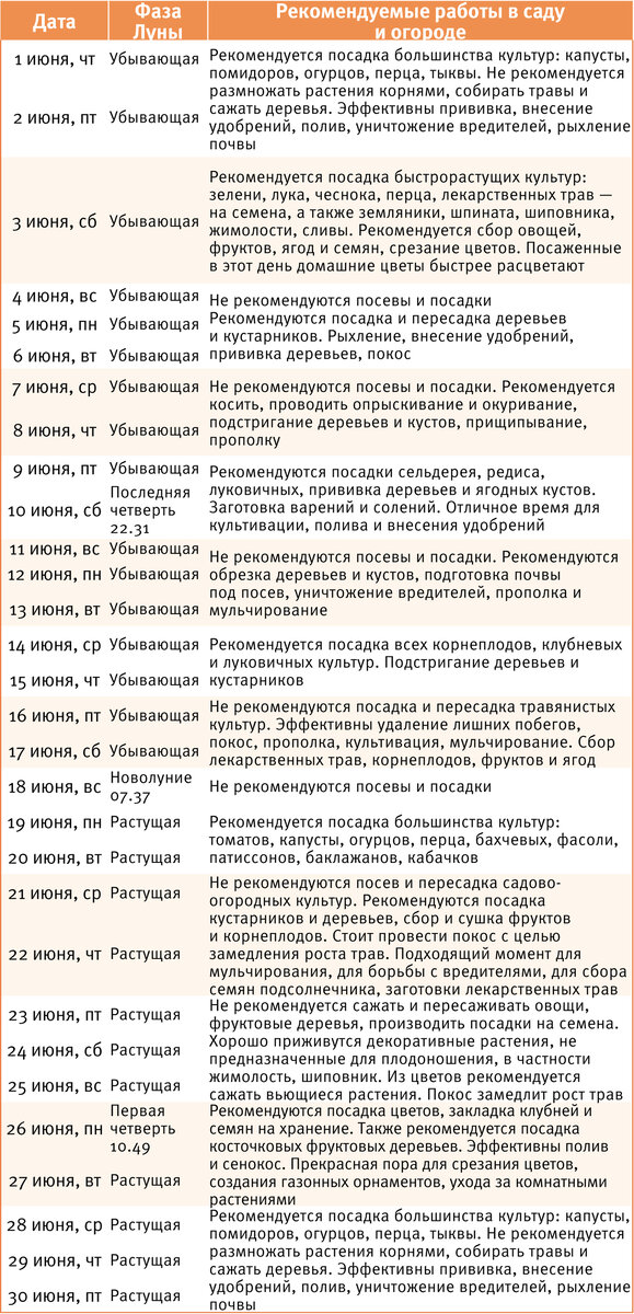 В какие дни сажать в мае. Лунный календарь на февраль астросфера.