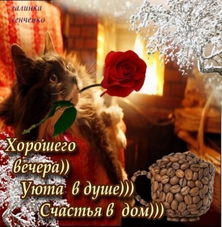 Картинка взята из интернета