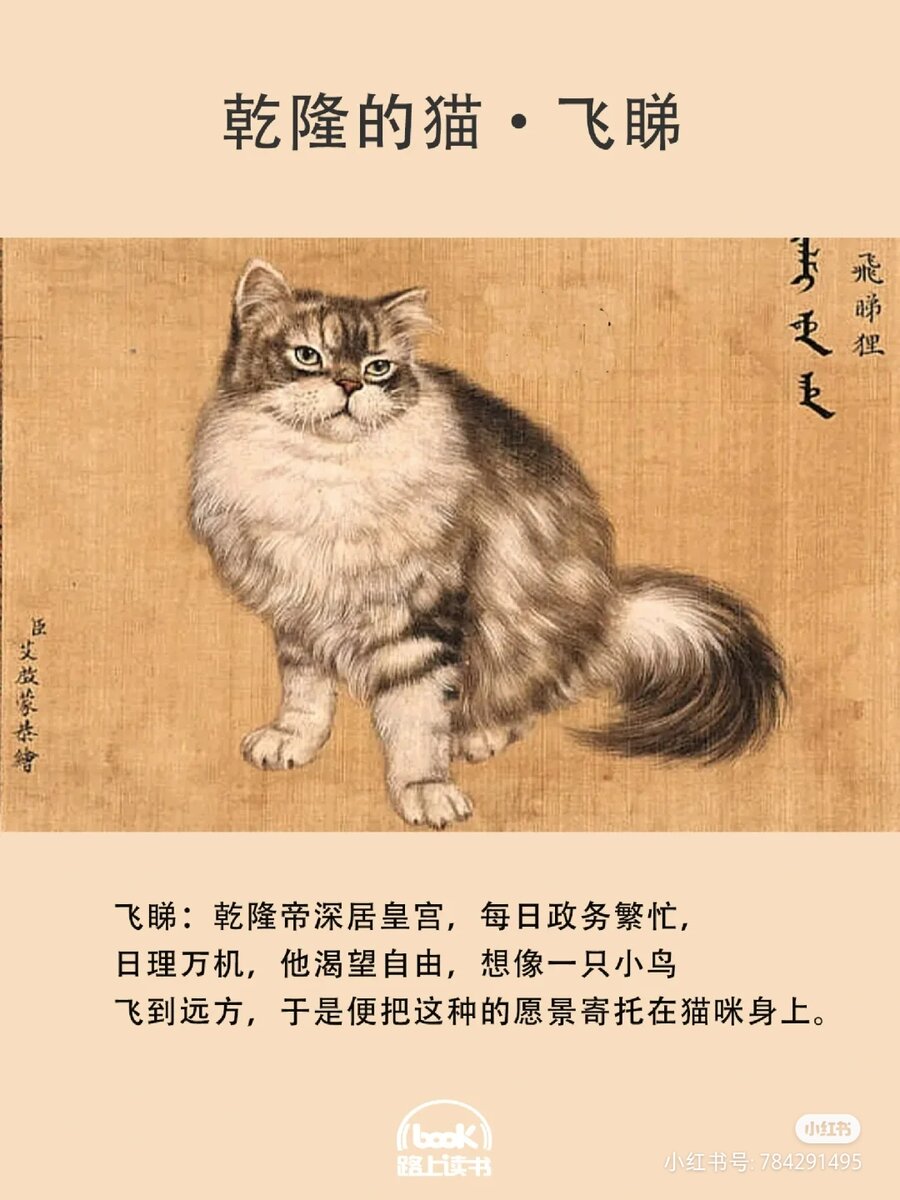 В описании говорится, что император был денно и нощно занят во дворце государственными делами. При этом он грезил о свободе, сравнивая себя с птицей, летящей в дальние края