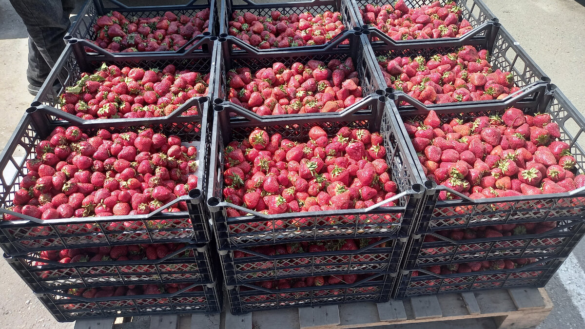 Клубники не много,но есть.