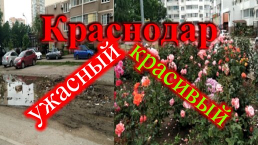 Краснодарское дело