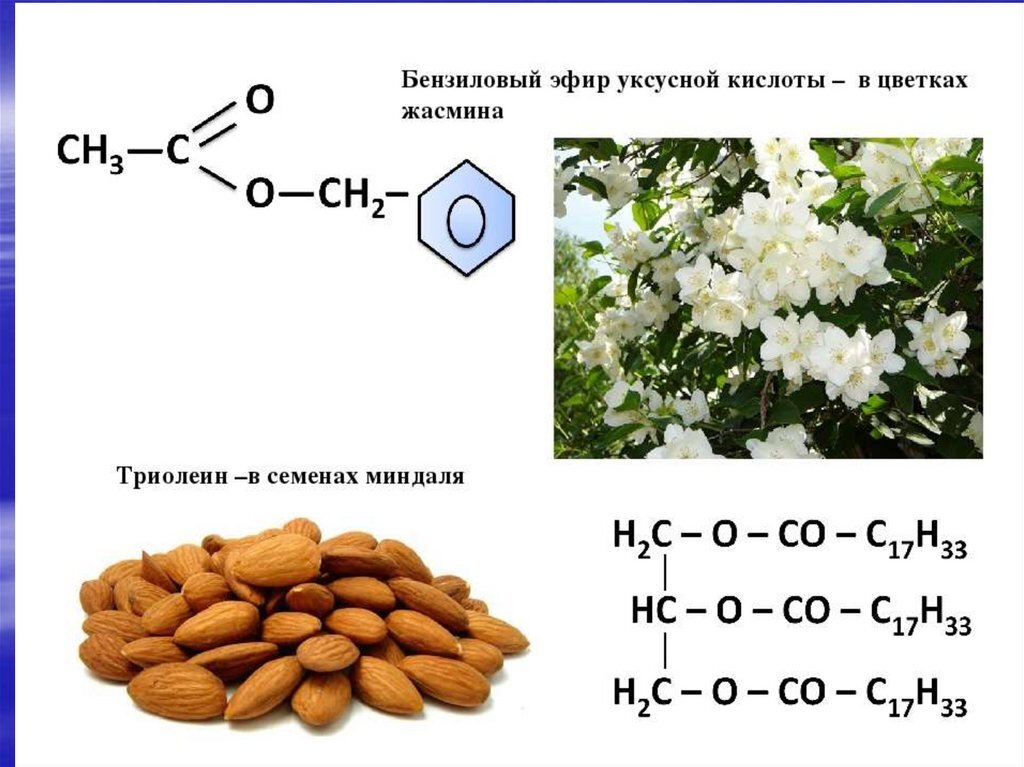 Получение уксусной кислоты формула. Сложный эфир с запахом жасмина. Сложные эфиры цветы формула. Бензиловый эфир уксусной кислоты. Сложные эфиры структурная формула.