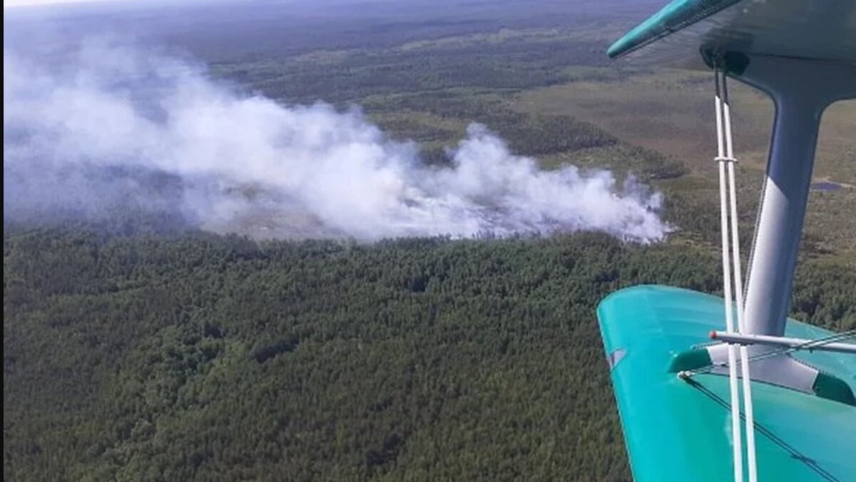     Крупный пожар произошел в лесах в Керженском заповеднике в Нижегородской области. Огонь распространился на территории 10 га, сообщается в группе организации в социальных сетях.