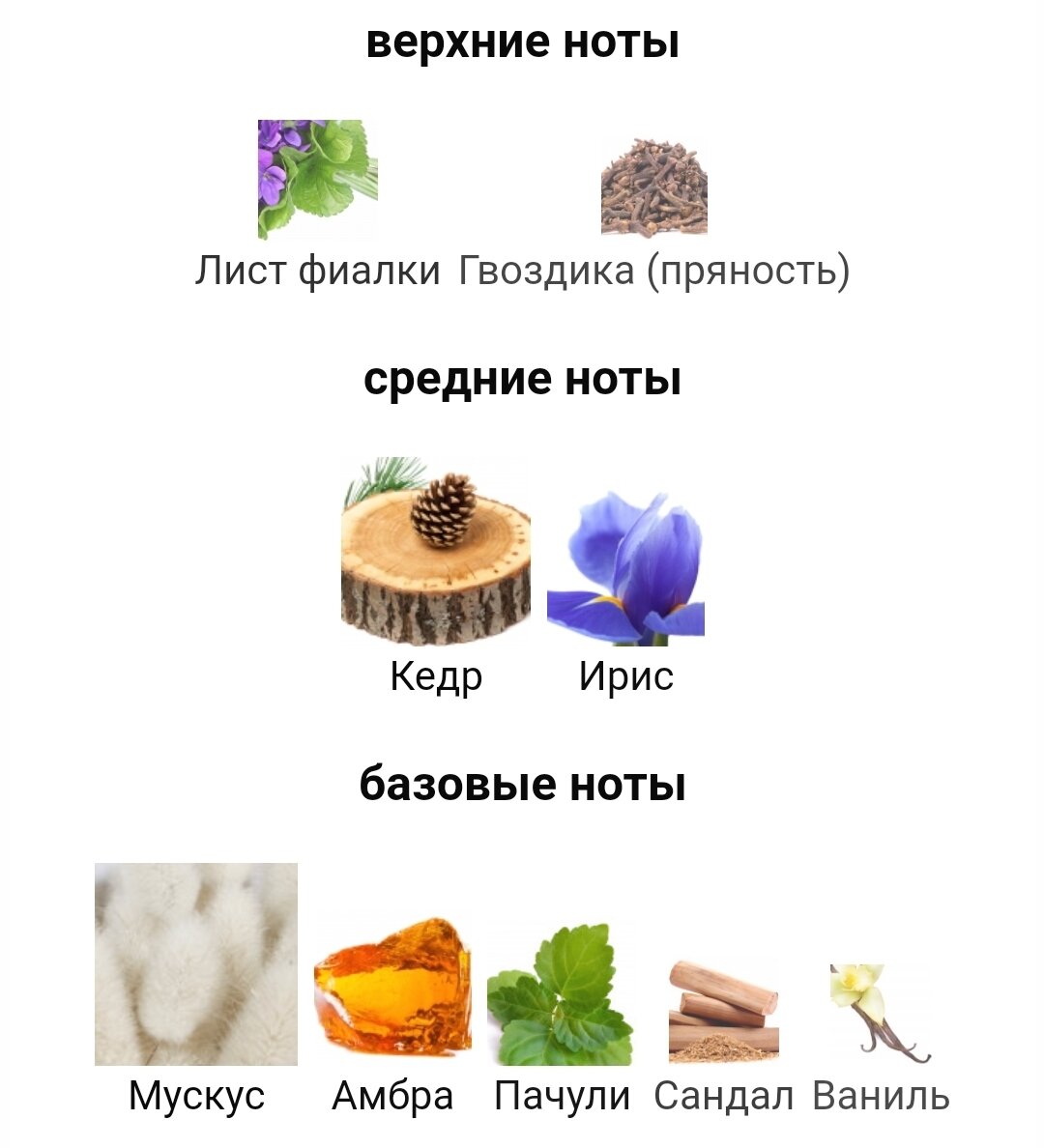 Фужерные ноты. Эйвон древесный аромат мужской. Сандал амбра мускус. Базовые ноты пачули амбра мускус. Духи hugo boss мужские reni.