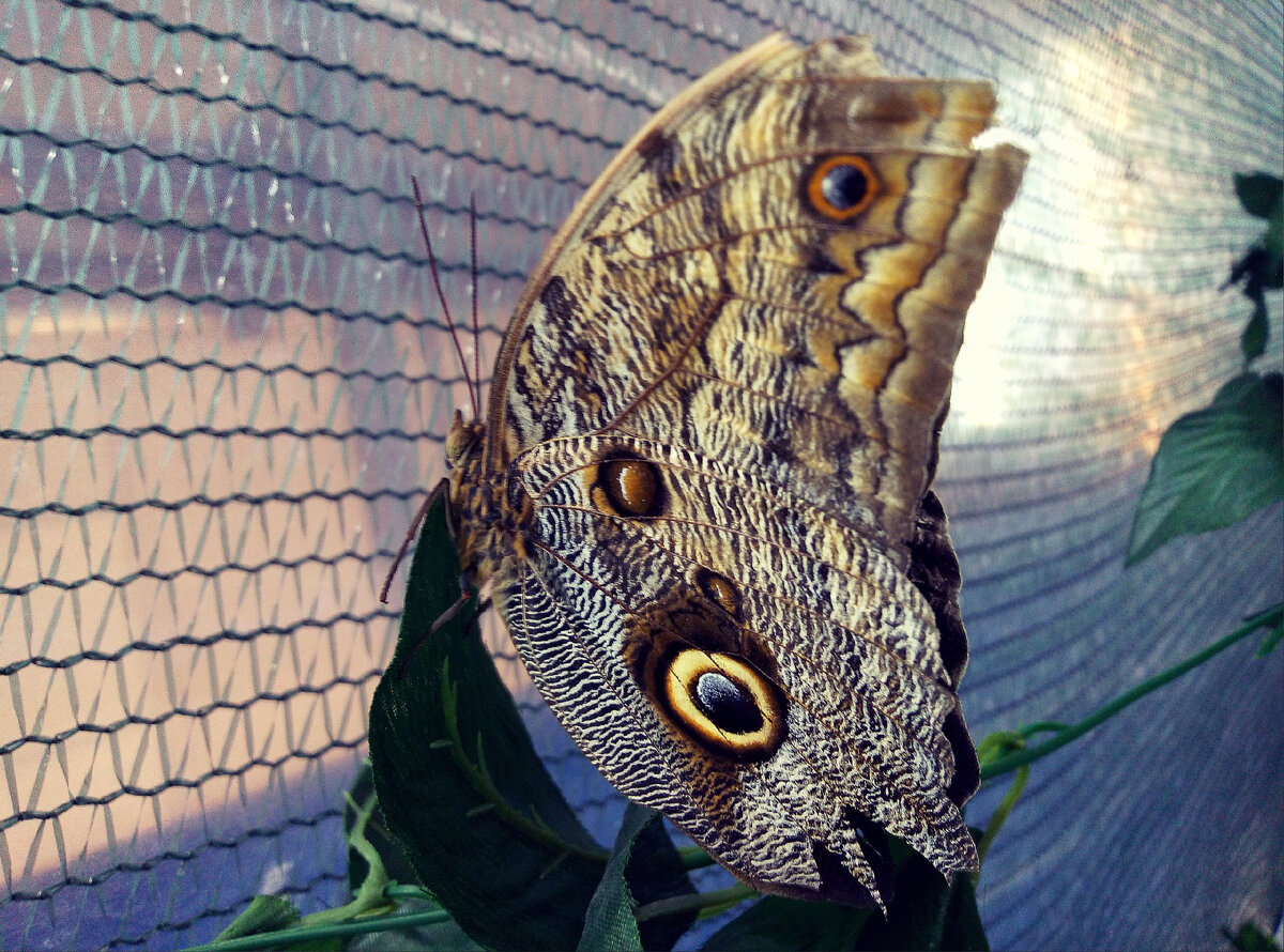 фото автора 