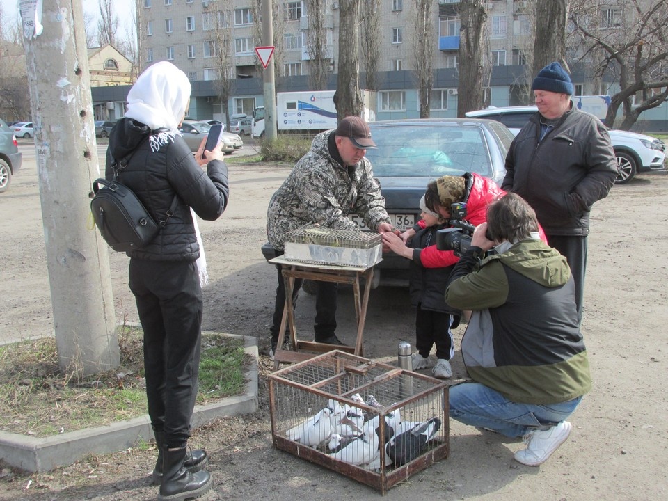    Родители не против близкого общения своих чад с дикими птицами Елена ФЕДЯШЕВА