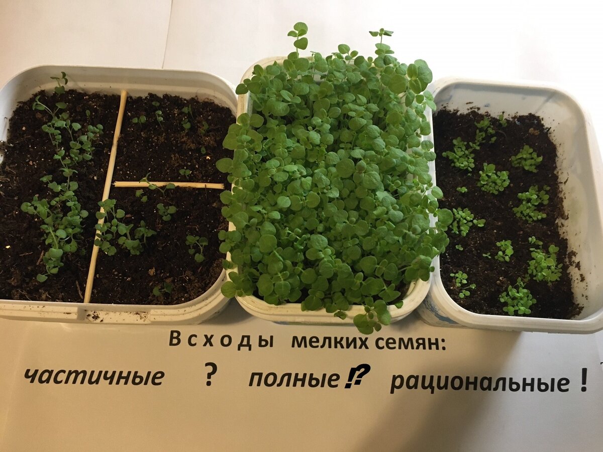    Все не так однозначно!