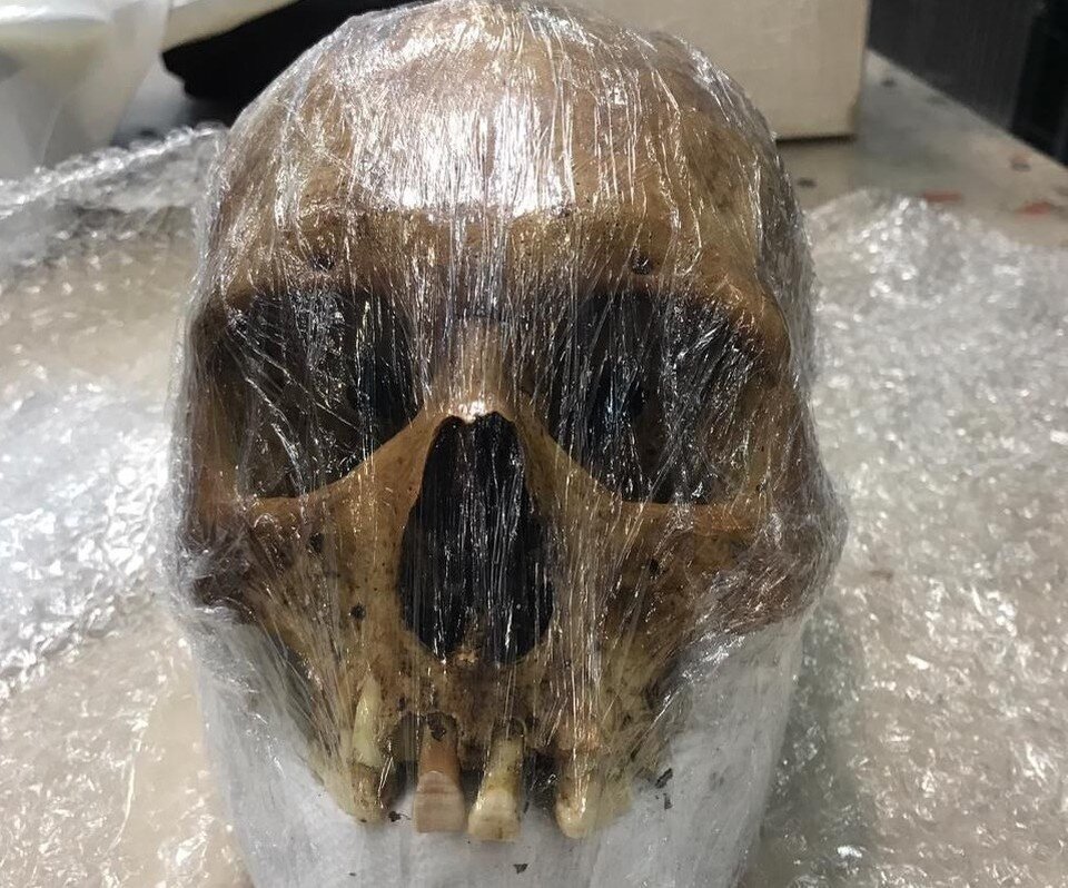     Сотрудники полиции изъяли останки для проведения следственных действий. Фото: Пресс-служба Федеральной таможенной службы