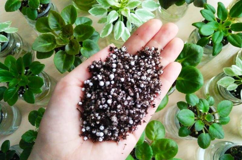 Фото из Интернета