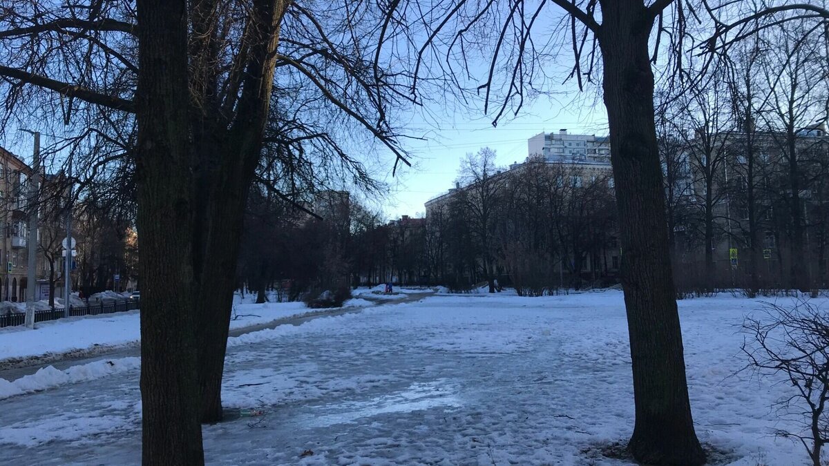     Температура воздуха в столичном регионе на предстоящих выходных опустится до минус трех градусов ночью. Об этом сообщили в центре «Фобос».