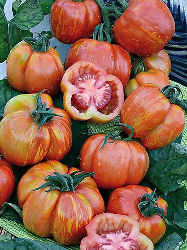 Томат Фаршировочный Тигровый