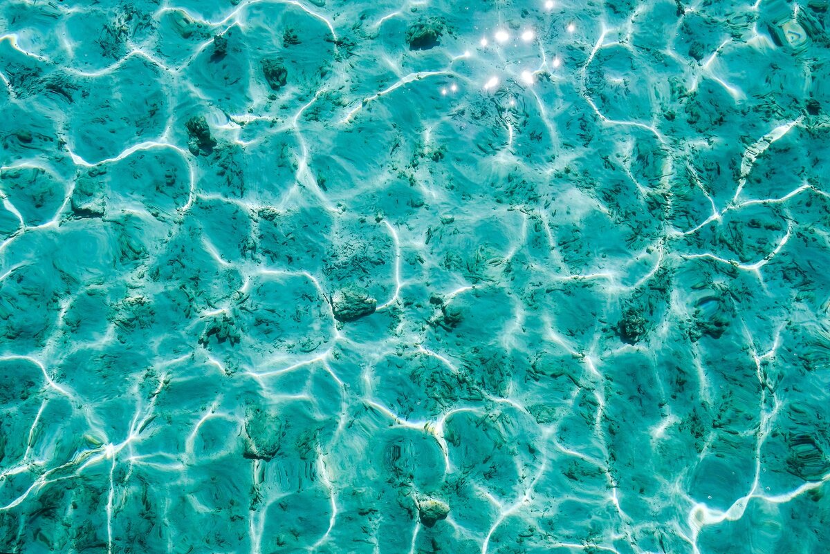 Photo by Jenny Wong on Unsplash